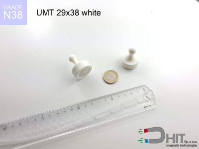 UMT 29x38 white N38 - magnesy na tablice